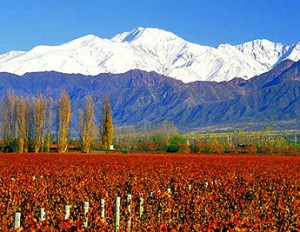 Vacation Packages to Mendoza from Buenos Aires