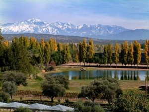 Vacation Packages to Mendoza from Buenos Aires 