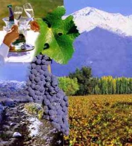 Vacation Packages to Mendoza from Buenos Aires
