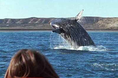 vacation packages to patagonia from Buenos Aires